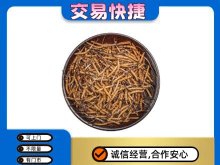 大理高价回收散虫草